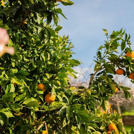 펜션 Garden House Kablar 풀라