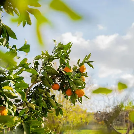 Garden House Kablar * 풀라