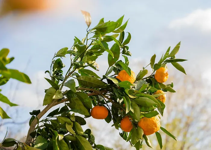 Semesterbostad Garden House Kablar Pula