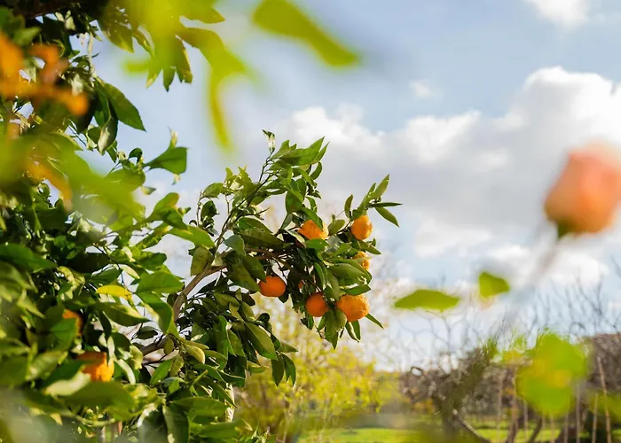 Garden House Kablar * Pula